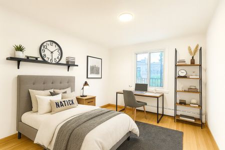 Appartement à Montréal (Rosemont/La Petite-Patrie) - Photo 5