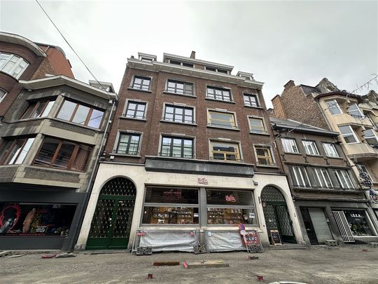 Appartement entièrement rénové 2 chambres +cave + grenier - Foto 1