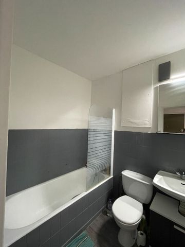 Location Appartement 1 pièce 29m² METZ 57070 - Photo 3