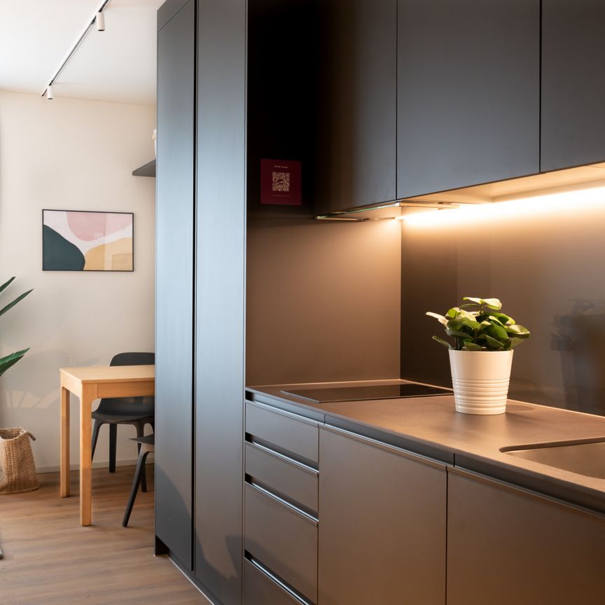 1.5 Zimmerwohnung - lichtdurchflutetes Apartment mit Sicht in die Alpen - Foto 1