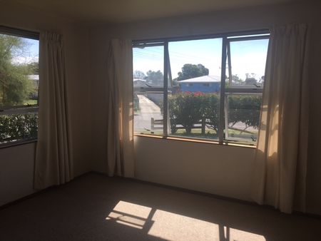 Cabot Place, Flaxmere - Photo 3