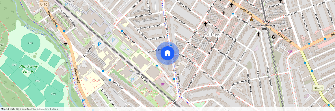 Cathays Terrace, CF24 4HS, Cathays