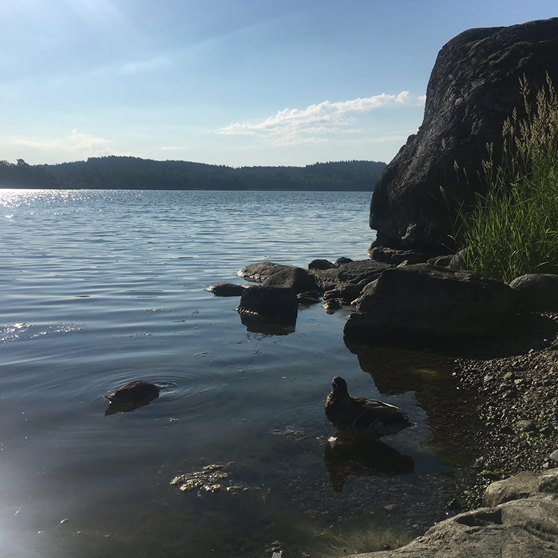 Badvägen, Södertälje - Photo 1