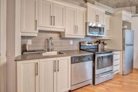 Appartement à louer - Montréal (Ville-Marie) (Centre) - Photo 2