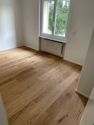 3 Zimmer, 60 m², EG - Photo 1