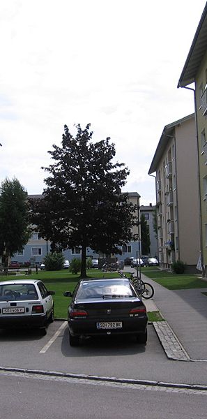 Wohnanlage der Herbert-Wöhl-Str.4/6 4780 Schärding - Foto 1