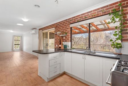 A FAMILY FAVOURITE - Photo 4