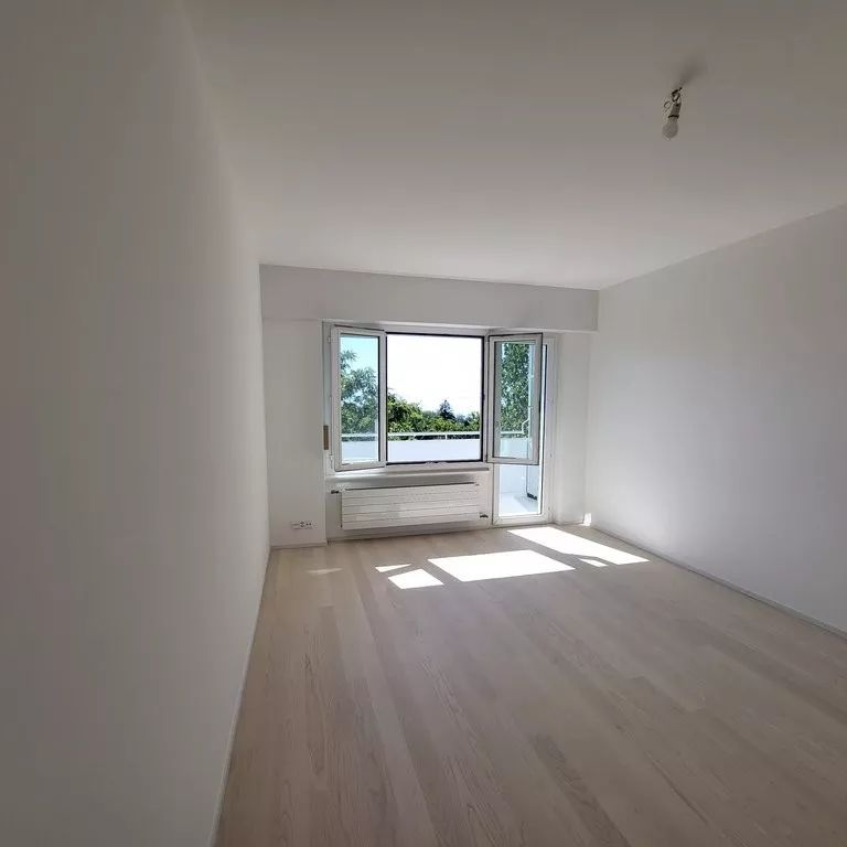 Beau 3.5 pcs complètement rénové avec vue dégagée sur lac - Foto 1