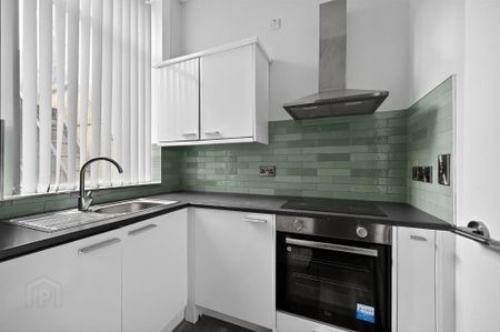 Apt 1, 3 Abercorn Street, Belfast, BT9 6AS - Photo 5