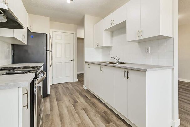 2 Bedroom - Photo 1