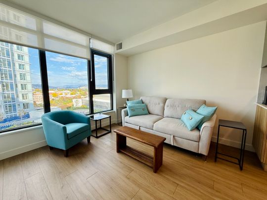 Furnished 1 Bdrm at Aqua - Photo 1