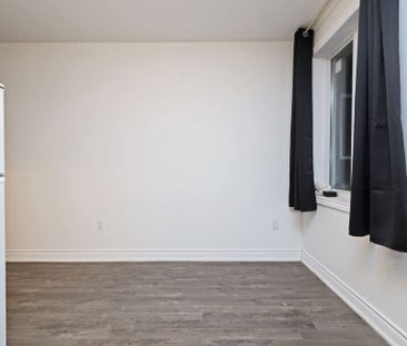 176 Hiawatha Rd – Basement - Photo 5