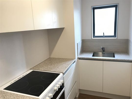 Brand new two bedroom unit! - Photo 1