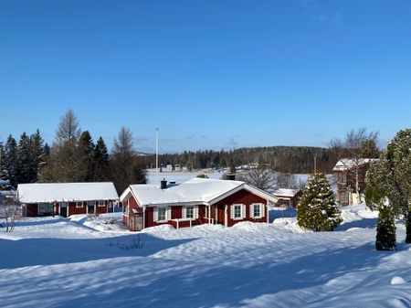 Sillviken, Örnsköldsvik - Foto 3