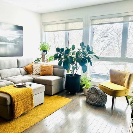 Condo 4 1/2 - occupation rapide - Photo 4