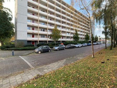 Te huur: Appartement Gemeenschapspolderweg in Weesp - Foto 4