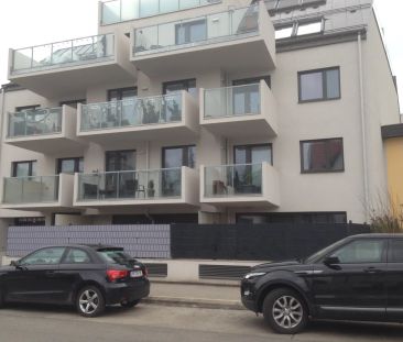 Helle 2 Zimmerwohnung im Erdgeschoß mit 17m² großer Terrasse gut ge... - Foto 5