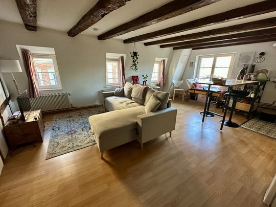 Location Appartement 2 pièces 41m² STRASBOURG 67000 - Photo 1