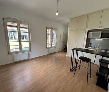 Location Appartement 1 pièce 24m² STRASBOURG 67000 - Photo 3