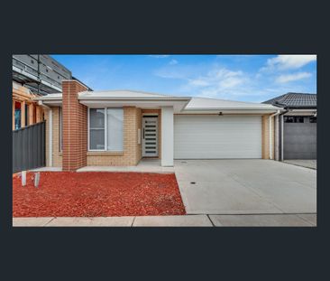 Stunning Family Home for Lease in Prime Location! - Photo 5