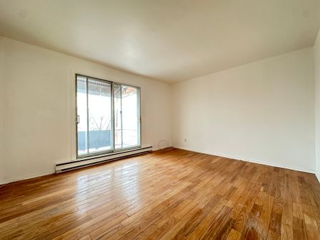 11962 Av. Monty, Montréal (Montréal-Nord), QC H1G - Photo 2