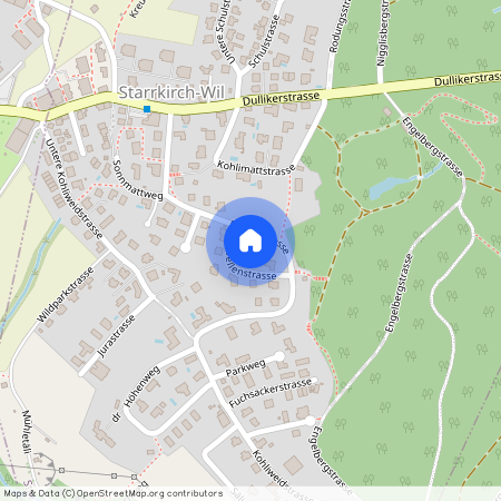 4656 Starrkirch-Wil