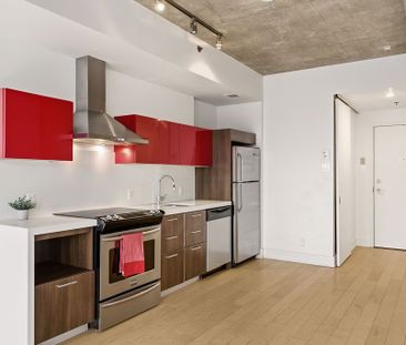 For Lease - 360 McLeod Street Unit# 203, Ottawa Centre, Ontario - Photo 6