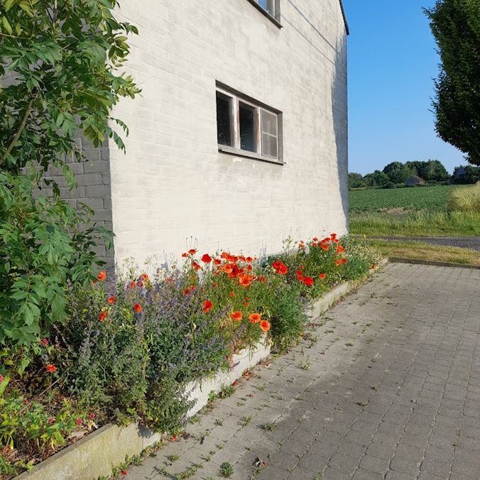 huis met tuin, landelijk open zicht, ecologisch geïnspireerd - Photo 1