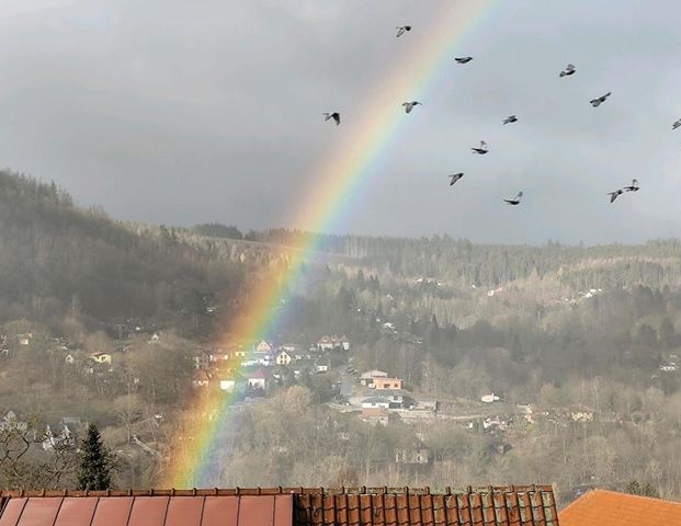 2 Raum Wohnung - Foto 1