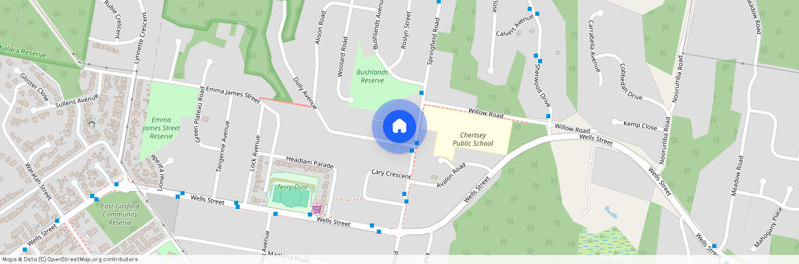 5 Dolly Avenue, Springfield NSW 2250