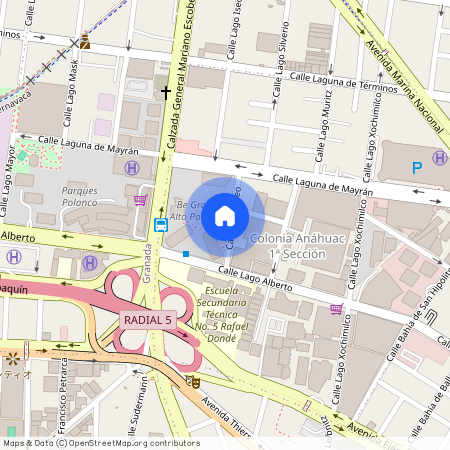 Lago Iseo 305, Anáhuac I Secc, Miguel Hidalgo, 11320 Ciudad de México, CDMX #s/n, Colonia Anahuac II Sección, C.P. 11320, Df / Cdmx