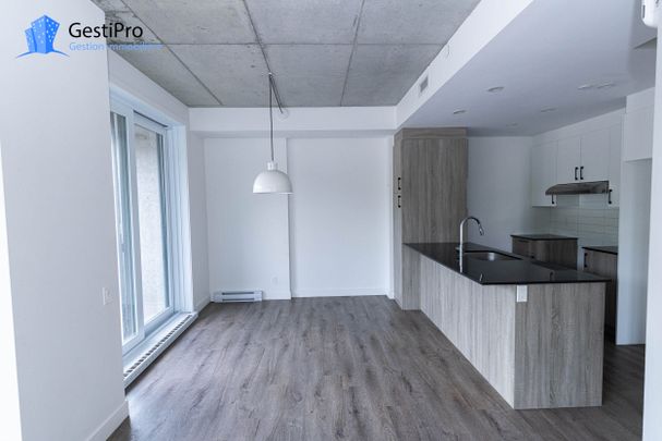 175 St-Vallier Est – Le Gecko - Photo 1