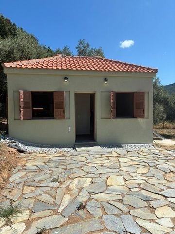 Studio/Γκαρσονιέρα για ενοικίαση Άγιος Ανδρέας (Σηπιάδα) - Photo 5