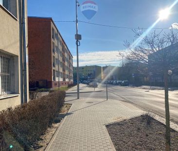 Żyrardowski, Żyrardów, ks. Ottona Wittenberga - Фото 3