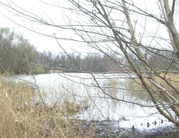 Sonniges 2-Bett Zimmer für 2 ♀♀/ ♂♀ - Photo 1