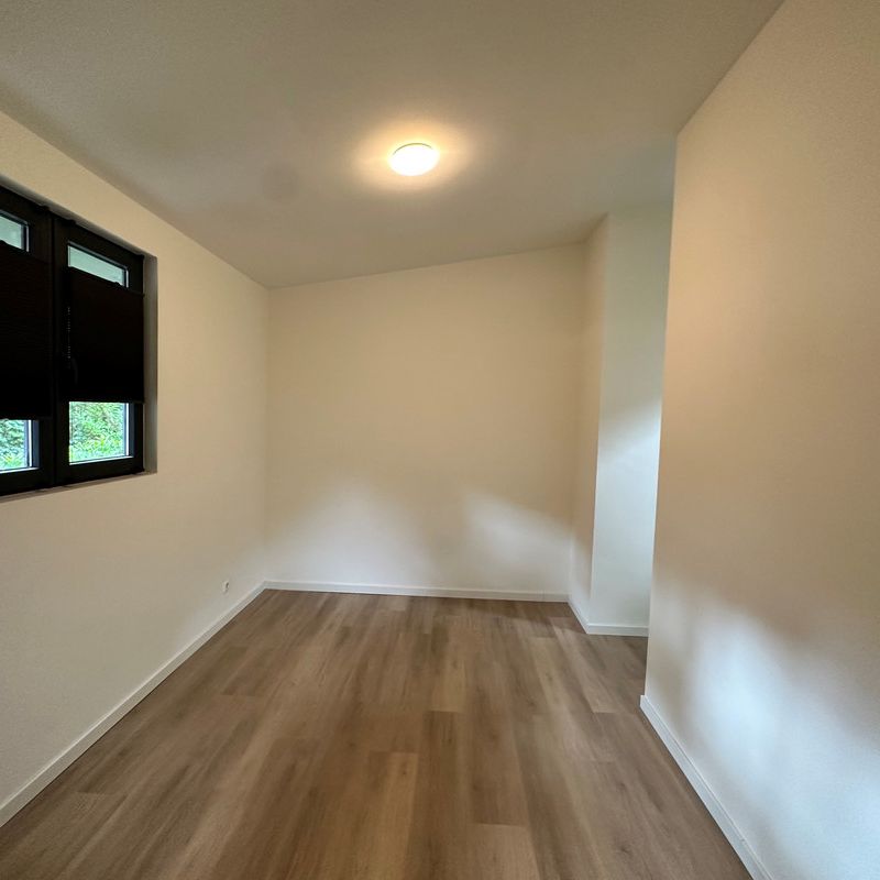 Rading 14B - Photo 1