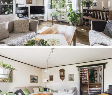 Gullvivestigen, Bro - Foto 4