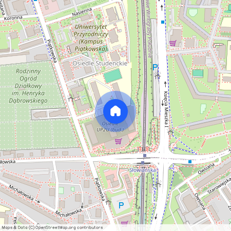 ul. Piątkowska, Winiary, Stare Miasto, Poznań, wielkopolskie