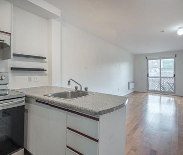 Montréal (Le Plateau-Mont-Royal) (Le Plateau-Mont-Royal) - Photo 1