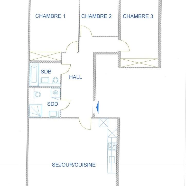 Plaine de Plainpalais - Université - Photo 1