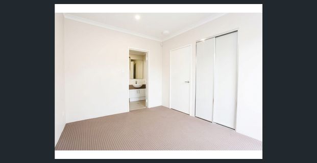 Spacious Large Unit. Own Courtyard, Walk to Amenities - Photo 1