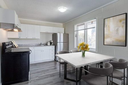 Renovated Suite - 1 Bedroom - Photo 4