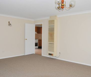 RENOVATED DELIGHT - Photo 4