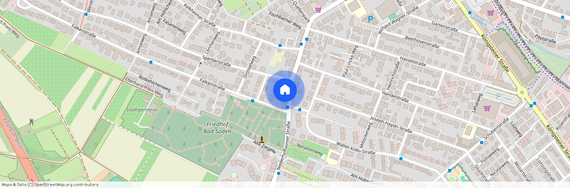 Niederhofheimer Straße 14, 65812, Bad Soden Am Taunus