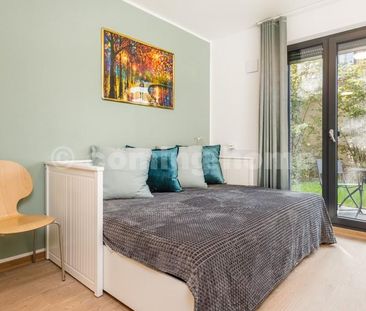 Perfect Single Living - Photo 6