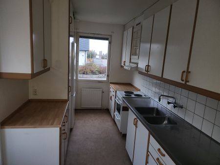 Vileborgsvägen, Fornåsa - Foto 3