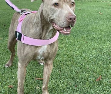 Applecross - Photo 3