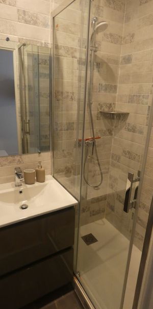 Location Appartement 1 pièce 21m² - Photo 2