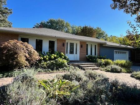 For Lease - 229 Church Street, Markham, Ontario - Photo 3