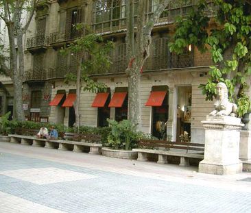 Casco Antiguo, apartamento de lujo en zona Borne - Photo 2